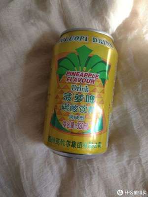 美味嘉年華 篇十五 開(kāi)車聚會(huì)也能暢飲，健康無(wú)負(fù)擔(dān)的菠蘿小飲料